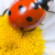 Profile photo of Michele Johnson